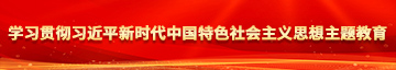 超碰免费公开成人学习贯彻习近平新时代中国特色社会主义思想主题教育