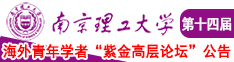 欧美日韩操逼南京理工大学第十四届海外青年学者紫金论坛诚邀海内外英才！